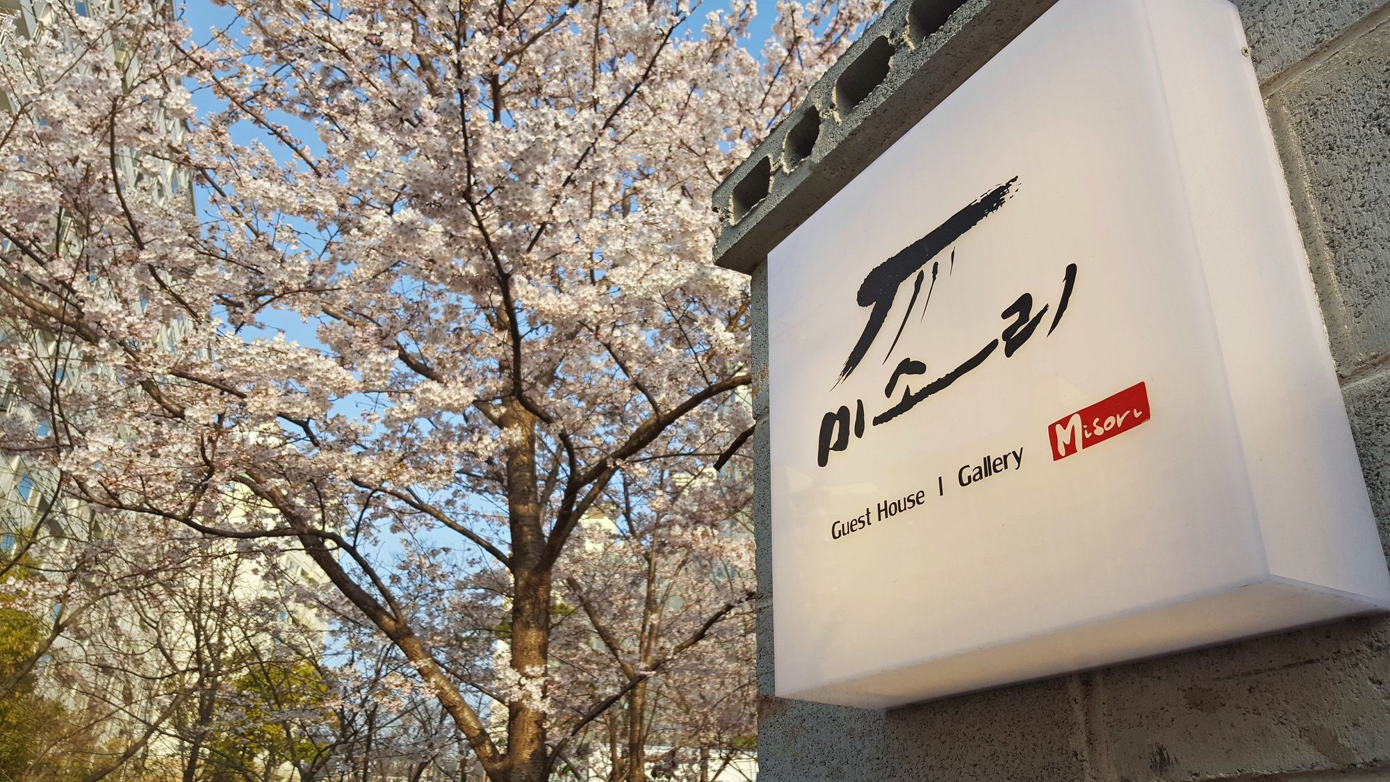 Misori Guesthouse Gwangju Metropolitan City Exterior foto