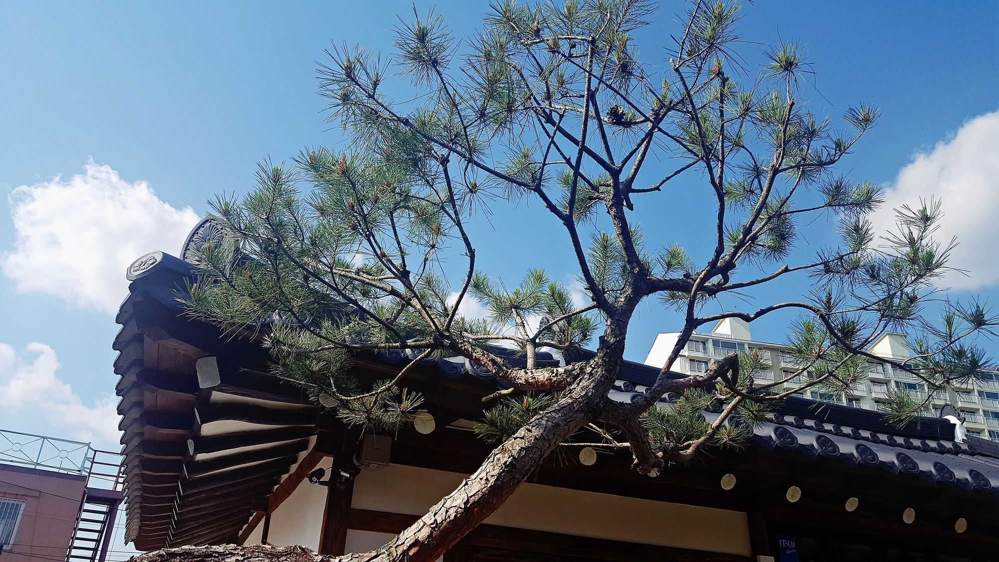 Misori Guesthouse Gwangju Metropolitan City Exterior foto